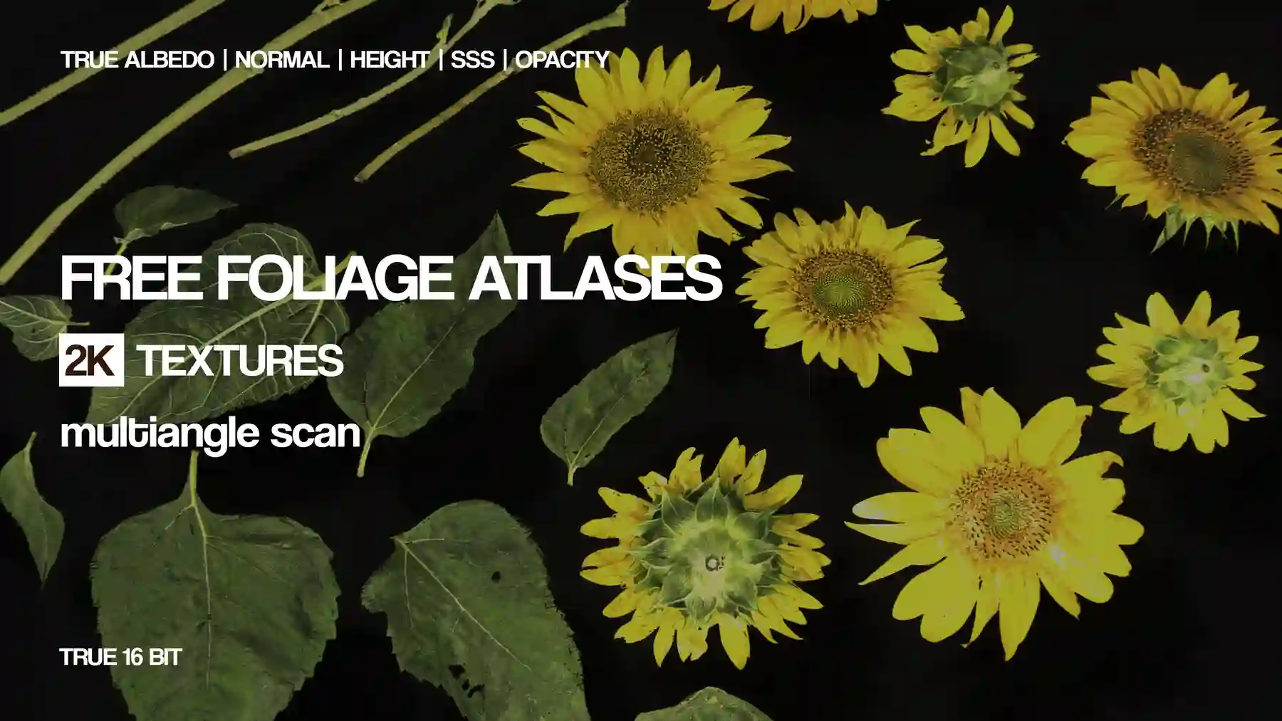 Free Atlas Textures Oleksiy Rysyuk
